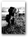 najstaršia časť cintorína  » Kliknite pre zväčšenie ->